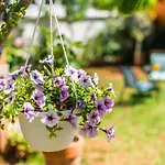 Anakatarina דירה פורץ