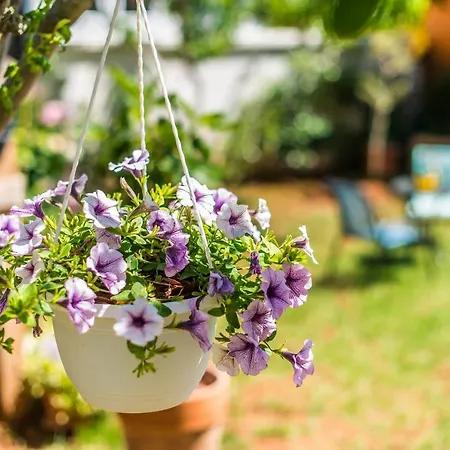 Anakatarina Daire Poreč