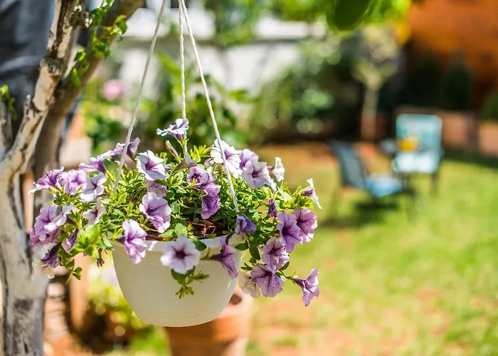 Anakatarina Apartament Poreč